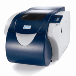 SolidoSD300